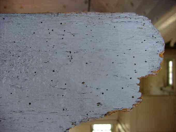 Detail eines bemalten Brettes mit schwarzen Punkten